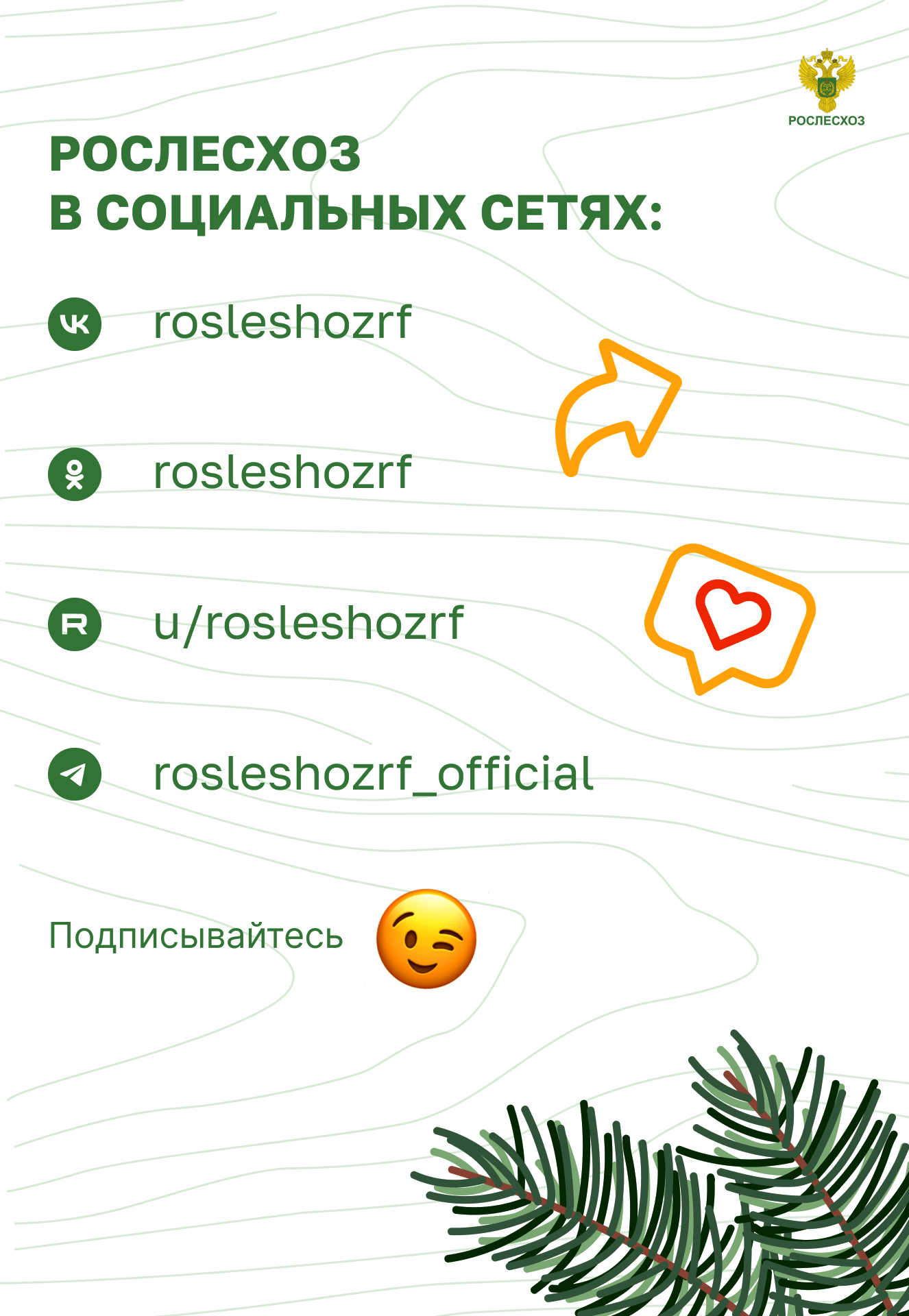 11.png